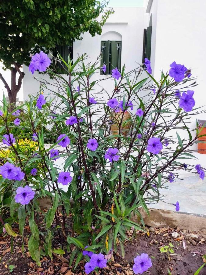Ancient Meropia - Les Jardins Des Muses 아폴로니아 외부 사진
