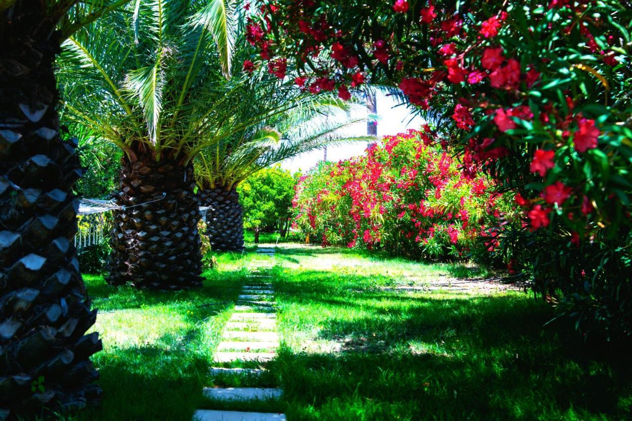 Ancient Meropia - Les Jardins Des Muses 아폴로니아 외부 사진